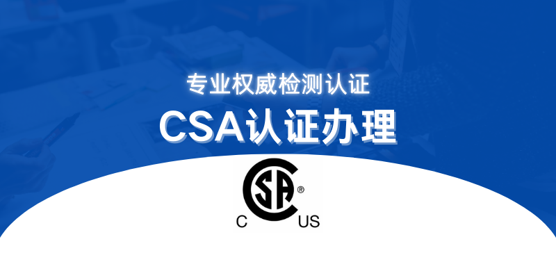 CSA (7).png